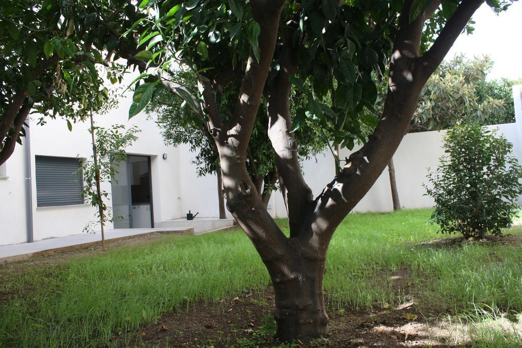 Residencia Mayol - Adults Only Palma de Mallorca Room photo